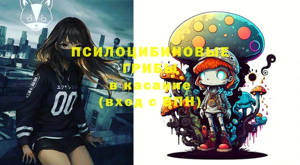 ПСИЛОЦИБИНОВЫЕ ГРИБЫ Абинск