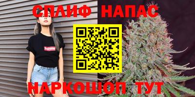 гашик Пенза