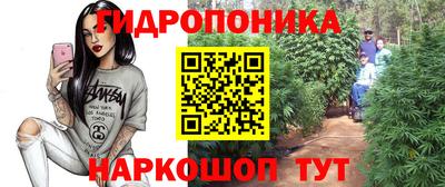 гашик Пенза