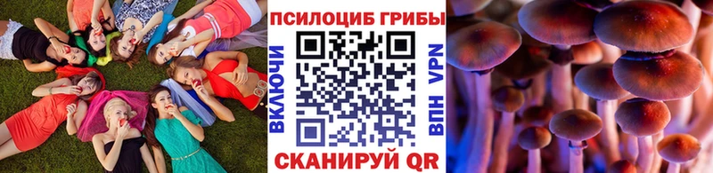наркота  Хабаровск  Псилоцибиновые грибы прущие грибы 
