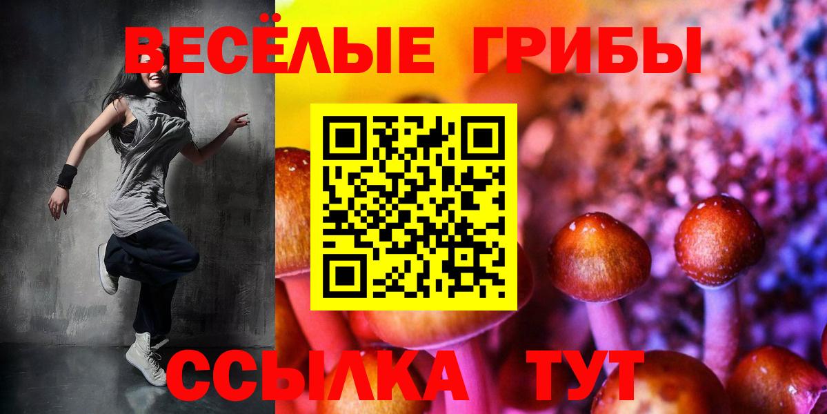 купить закладку  Галлюциногенные грибы Cubensis  Вход с VPN  Псилоцибиновые грибы MAGIC MUSHROOMS  Хабаровск 